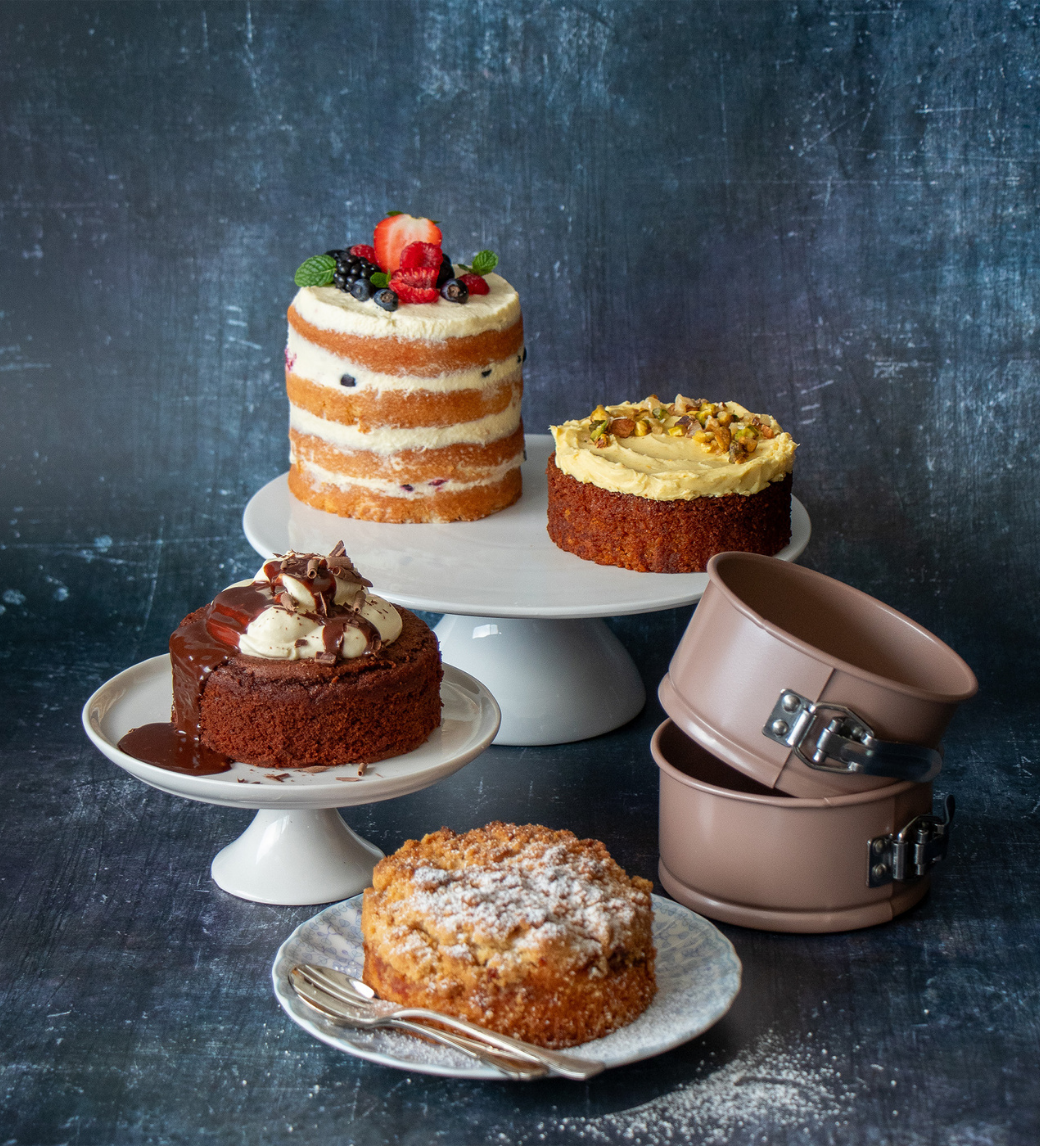 Mini Springform Cake Pans (Set of 4)